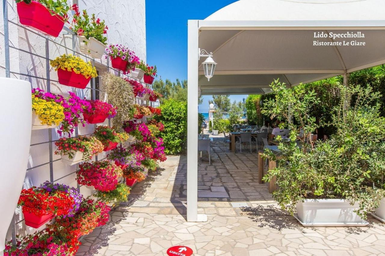 Apartment Pineta Mare *